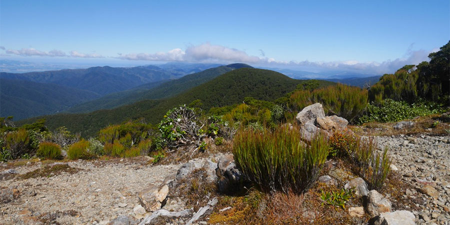 Tararua Mountain Race (TMR)