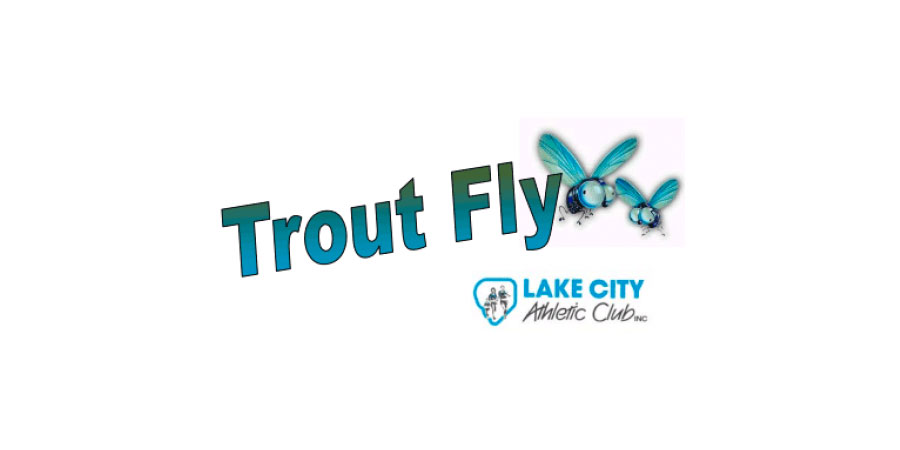 Trout Fly Summer Series